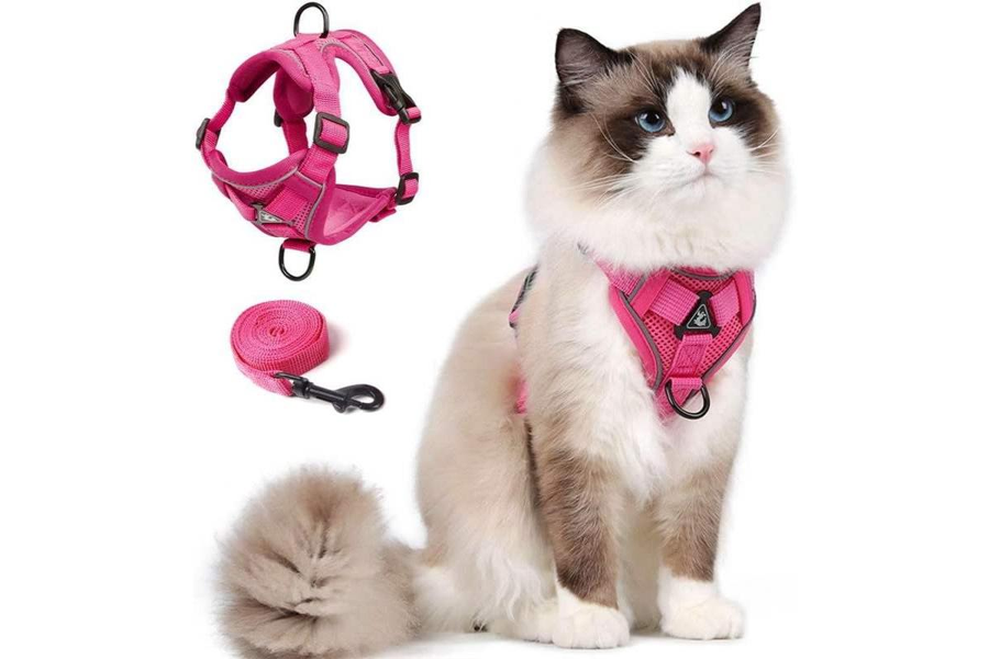 Escape-proof cat harness