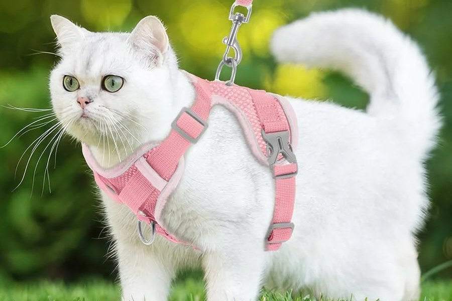 Best cat harness for escape artists